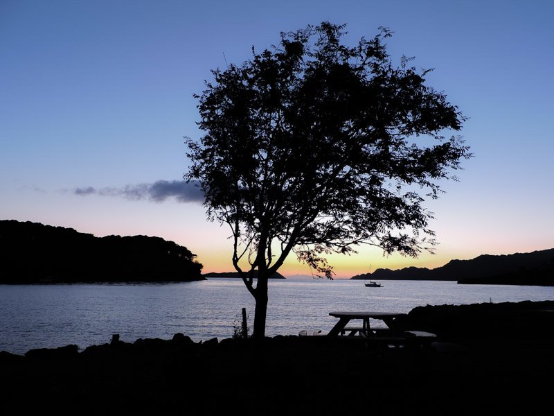 Sunset, Sheildaig, Scotland, tree, bench, sea