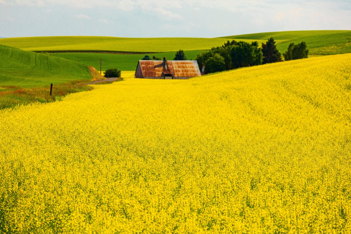 Washington Bucket List 26 Things to Do in Washington State shutterstock 2629819781 | Two Scots Abroad Washington Bucket List 26 Things to Do in Washington State shutterstock 2629819781 | Washington Bucket List: 26 Things to Do in Washington State