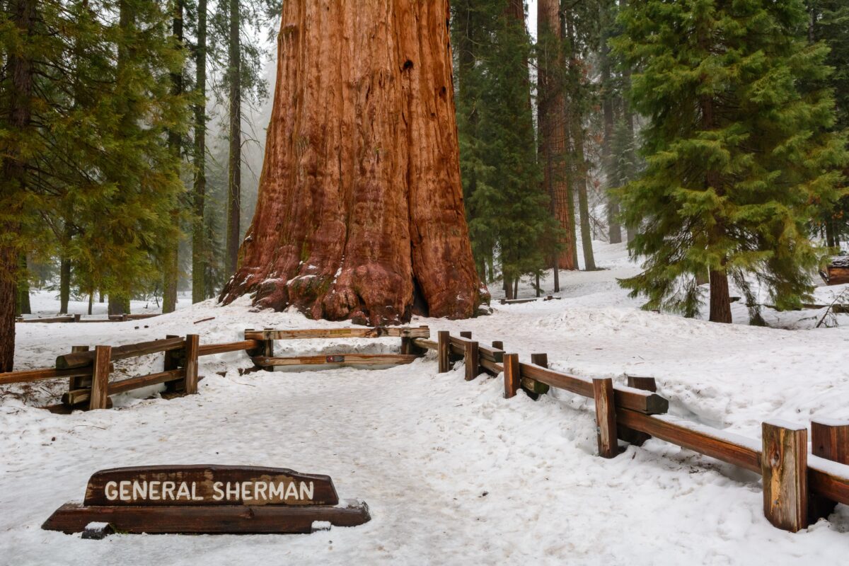 Sequoia National Park Backpacking shutterstock 2734499719 | Backpacking National Parks: Best Parks, Hikes & Camping