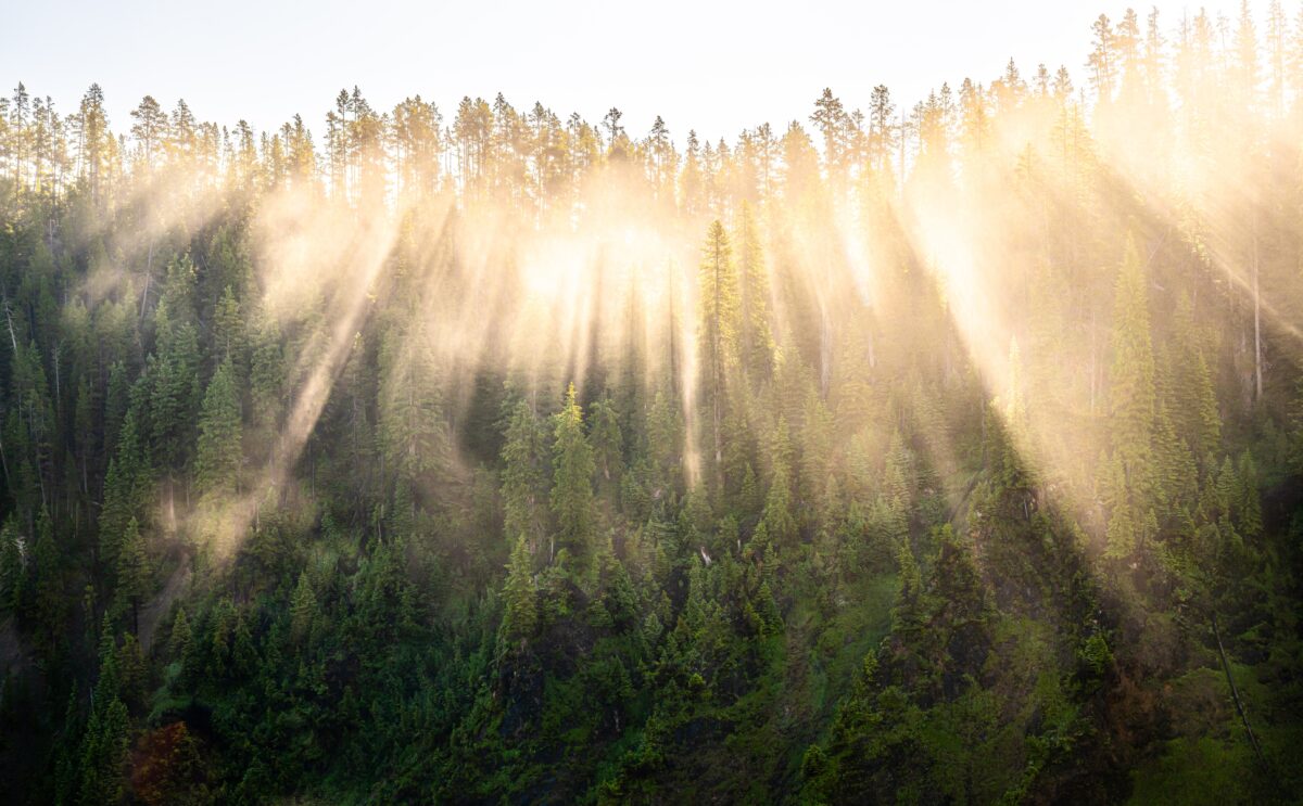 yellowstone shutterstock 2721486271 | Backpacking National Parks: Best Parks, Hikes & Camping