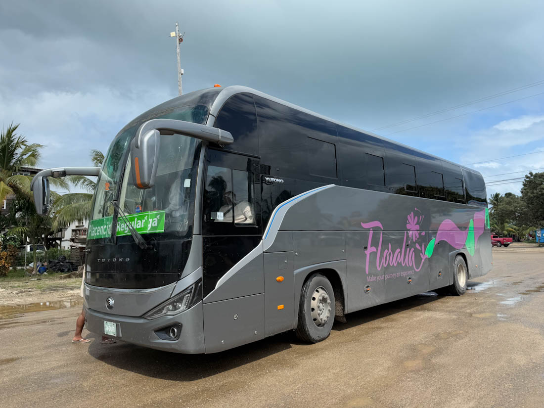 Chicken Bus Belize