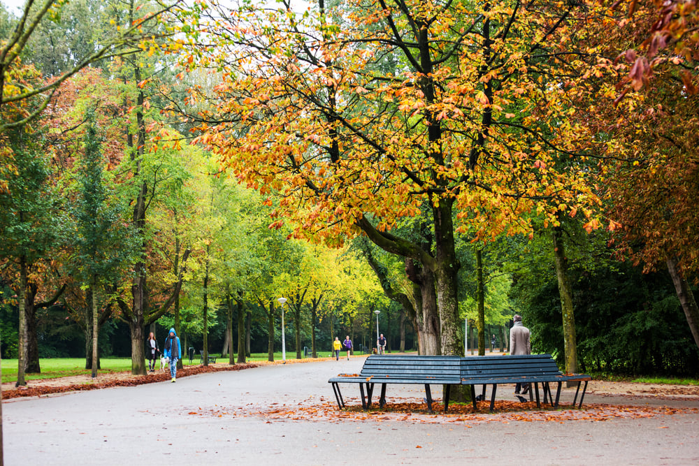 Vondelpark