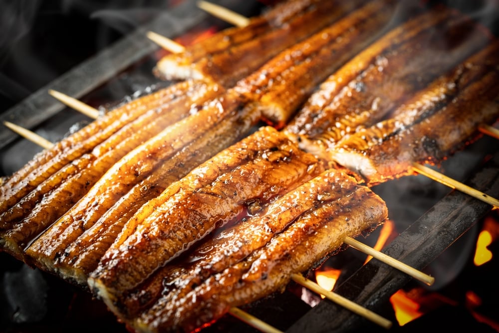 shutterstock 2165906103 | Two Scots Abroad cooking eels