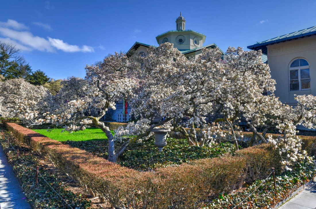 Brooklyn Botanic Garden New York City shutterstock 1089756065 | Beautiful Botanical Gardens in the USA: Worth Visiting