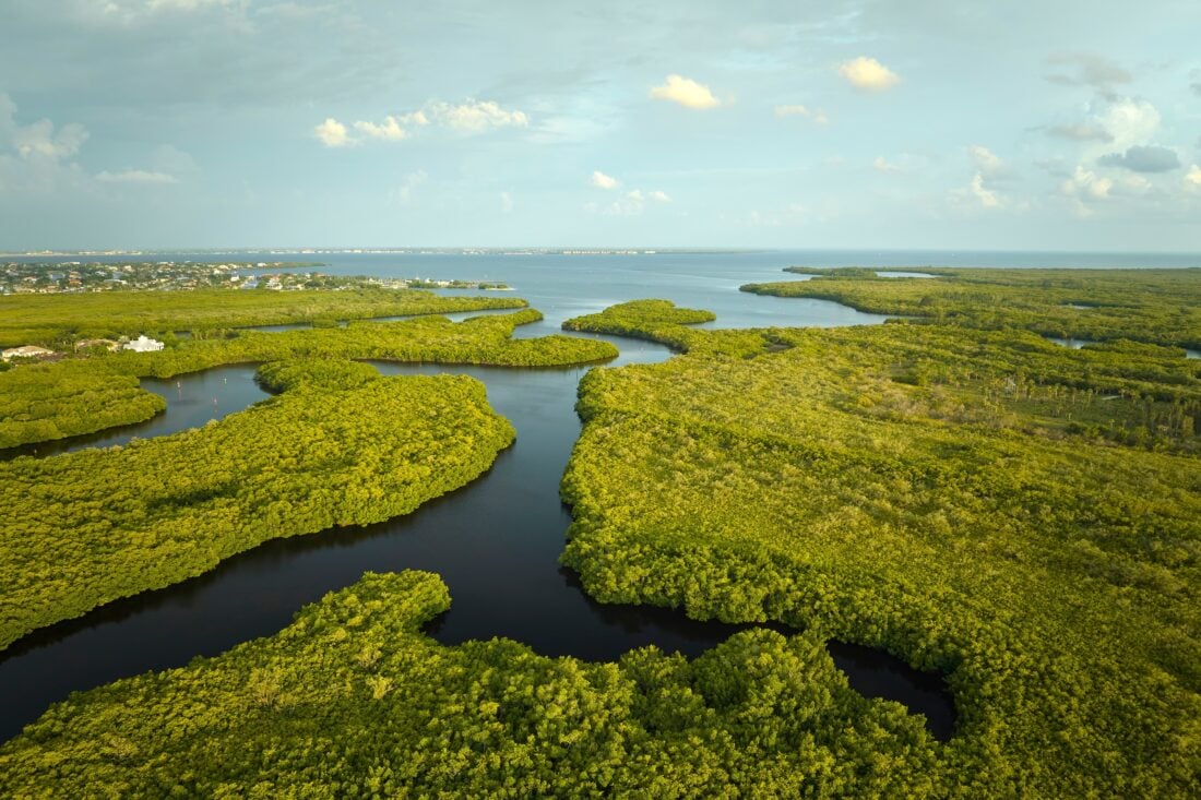 Everglades National Park shutterstock 2300564781 | Surfside and Fort Lauderdale: The Best Coastal Escapes Between Miami and Fort Lauderdale