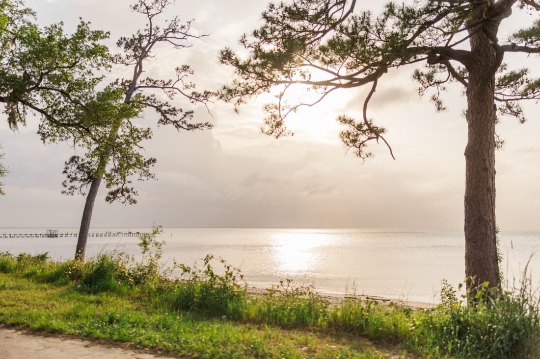 Fairhope Alabama Get Out shutterstock 2481560015 | Small Towns in the US You Will Recognize from Movies