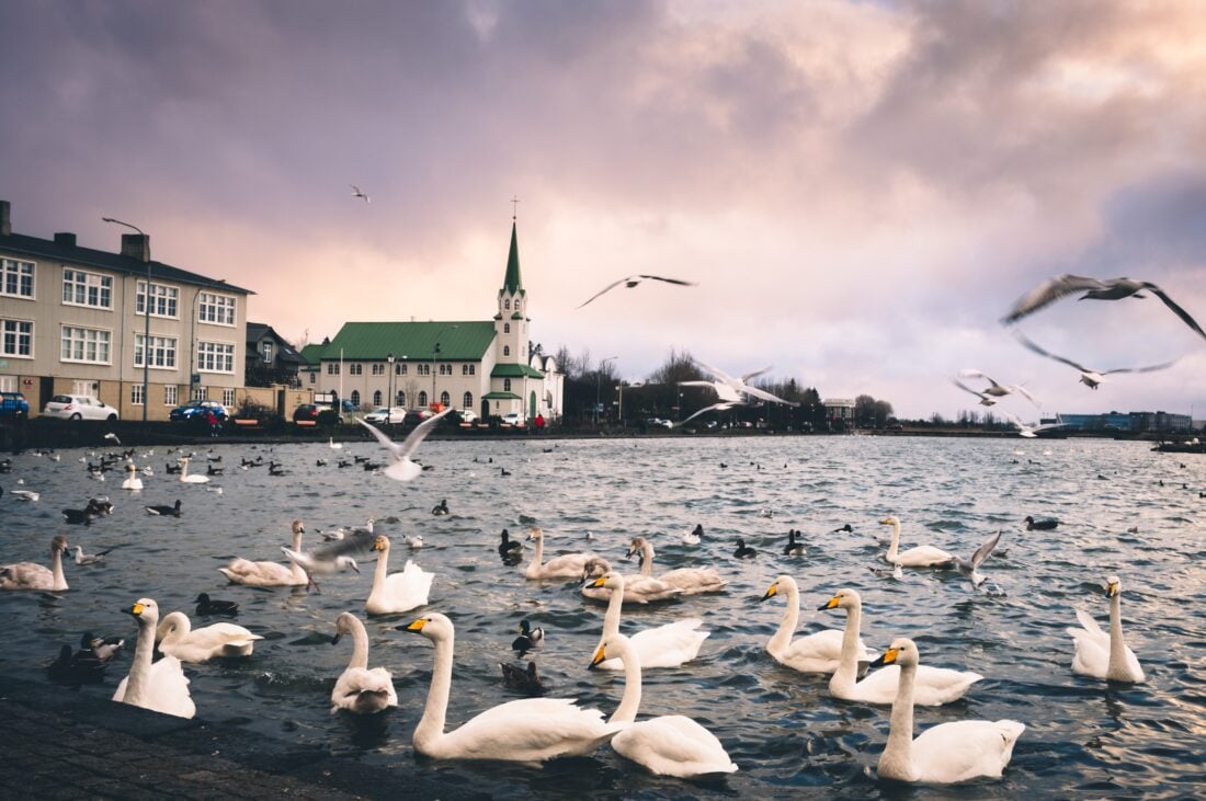 Lake Tjornin shutterstock 2461358101 | Reykjavik’s Most Famous Sights, Foods, and Experiences