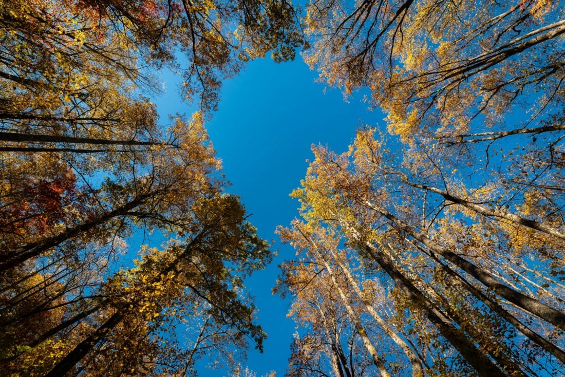 Oak Mountain State Park Best Things to Do Trails Lakes Beaches pexels gryziu 31342671 | Oak Mountain State Park: Best Things to Do (Trails, Lakes + Beaches)
