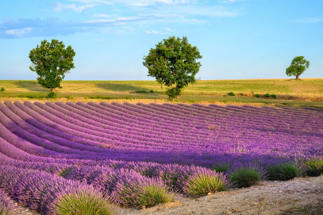 Provence France shutterstock 2667593751 1 | Two Scots Abroad Provence France shutterstock 2667593751 1 | Hot Places to Go in June: Best Destinations Around the World