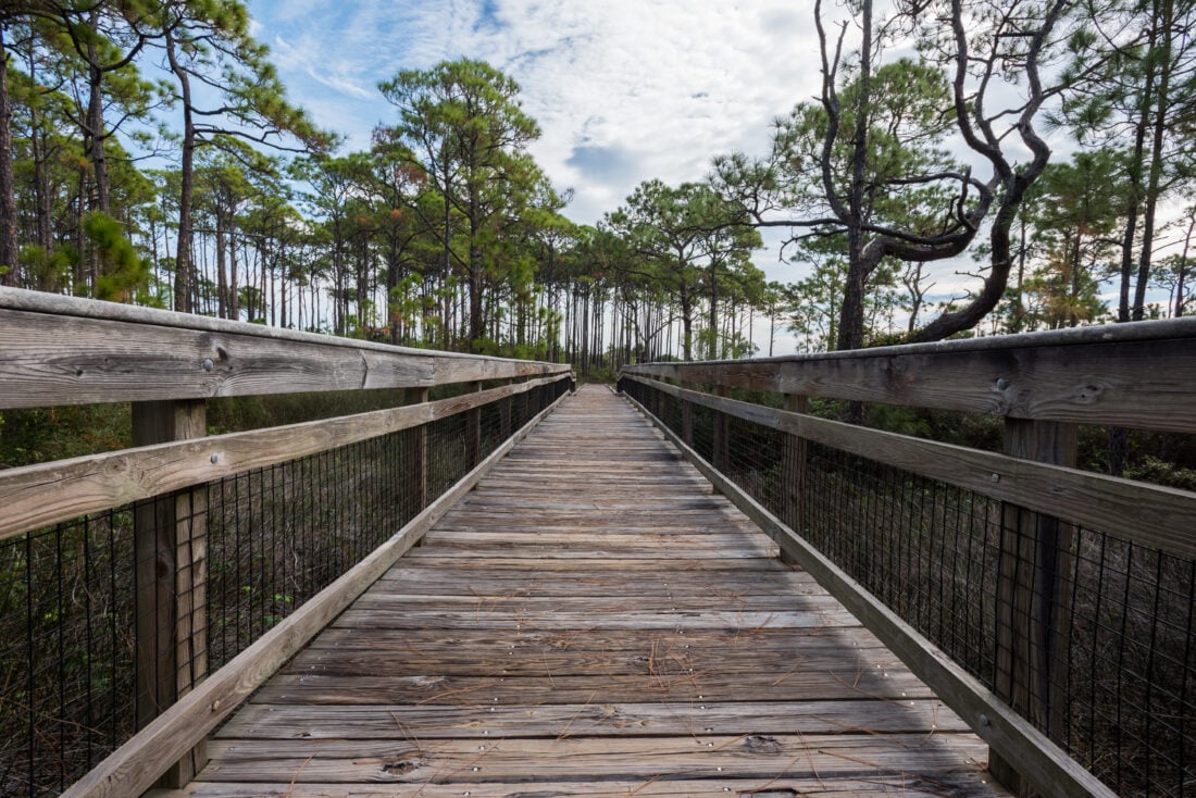 St. George Island Floridas Forgotten Coast shutterstock 576670213 | Spring Break in Florida: Where to Go Beyond the Party Beaches