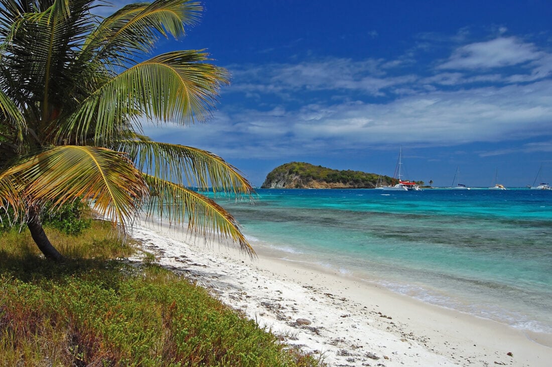 Tobago Cays shutterstock 79154683 | Where Can You Swim with Turtles? The Best Destinations Worldwide