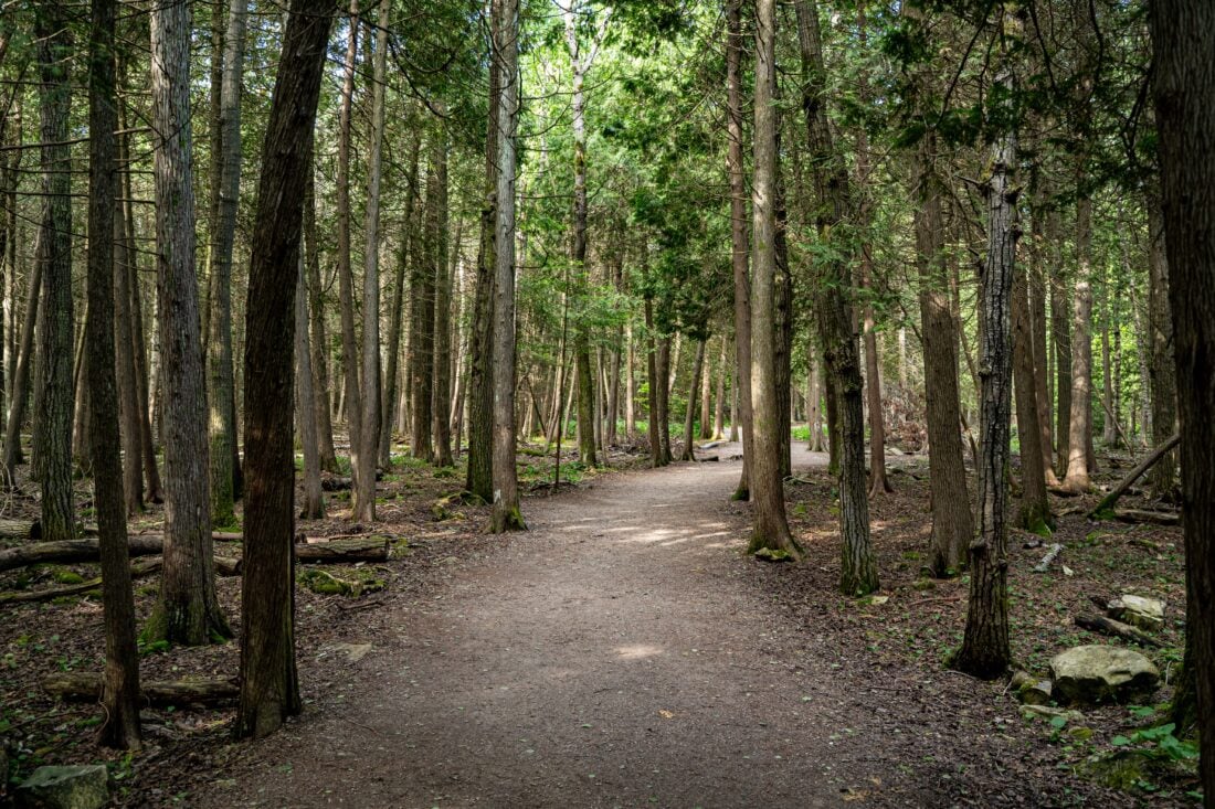 Tobermory Mulls Main Town shutterstock 2651807649 | Isle of Mull Bucket List: Unmissable Things to Do and See