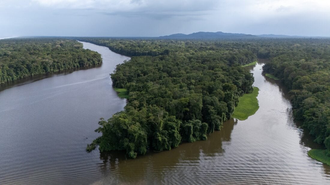 Tortuguero National Park shutterstock 2597692589 | Where Can You Swim with Turtles? The Best Destinations Worldwide