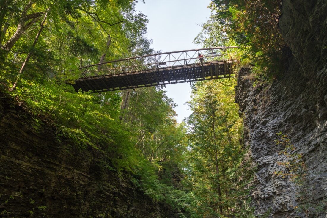 Watkins Glen State Park shutterstock 2696371531 | Finger Lakes Wine Trail: America’s First Award-Winning Trail Between Buffalo and Syracuse
