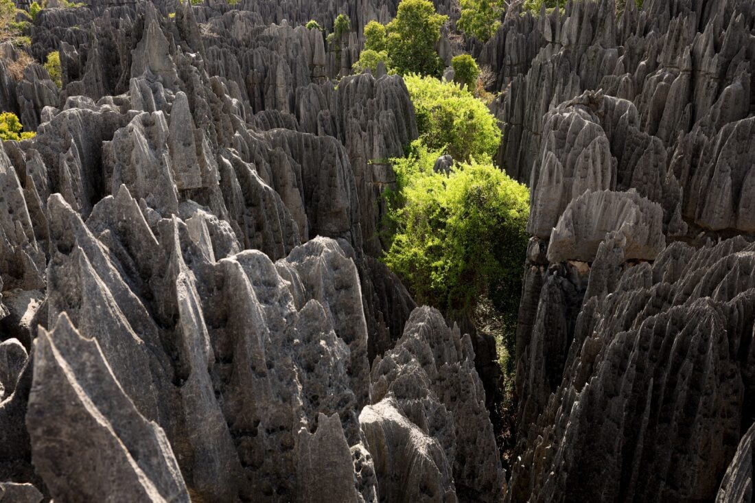 madagascar shutterstock 2512476183 | Two Scots Abroad madagascar shutterstock 2512476183 | Hot Places to Go in June: Best Destinations Around the World