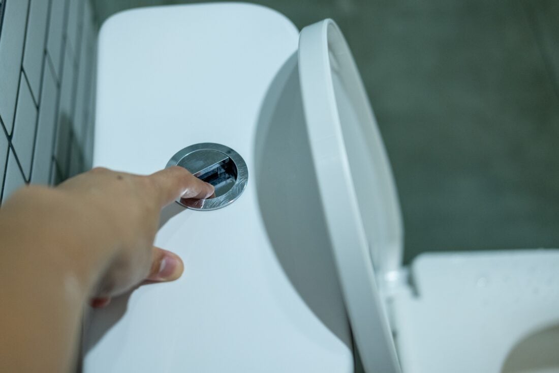 toilet flush shutterstock 2642231711 | Can You Flush Toilet Paper in Greece?