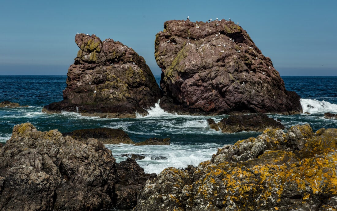 View,Of,St,Abbs,Harbour,In,The,Borders,Region,Of