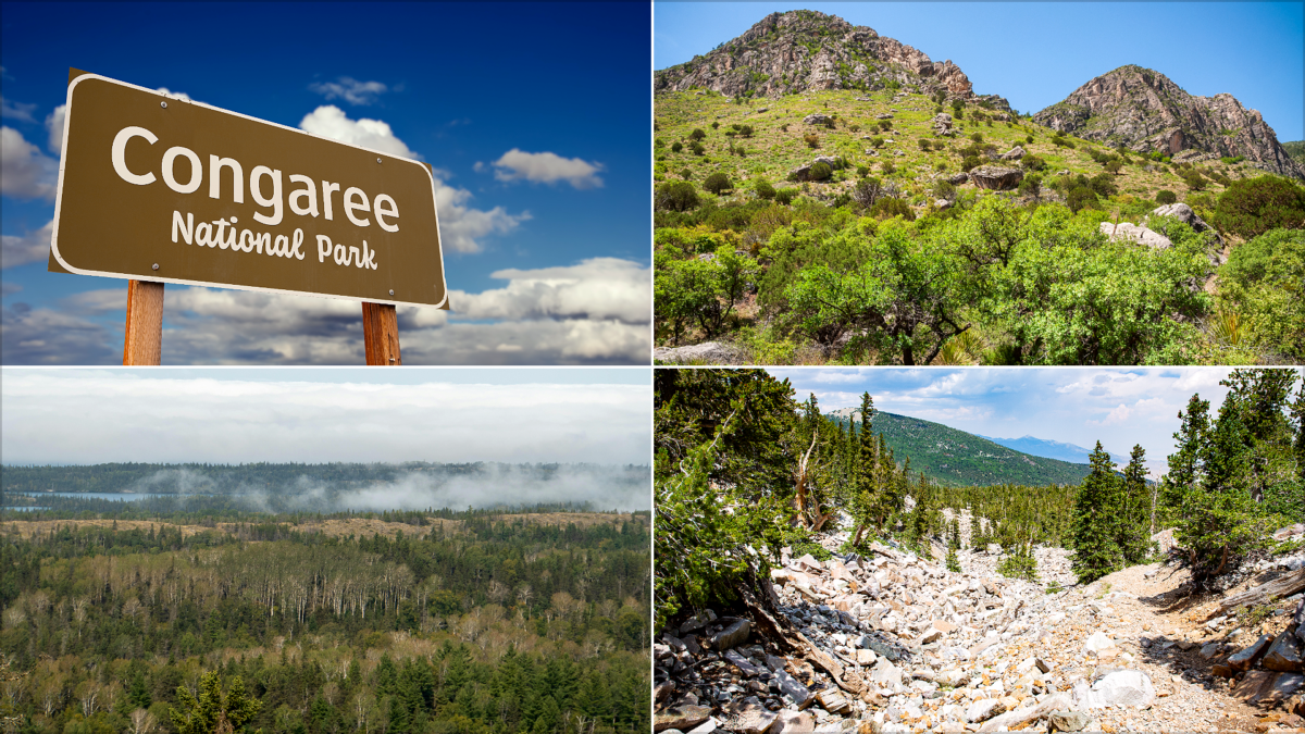 Americas Most Underrated National Parks And Why Theyre Worth It in 2026 | Two Scots Abroad Americas Most Underrated National Parks And Why Theyre Worth It in 2026 | America’s Most Underrated National Parks (And Why They’re Worth It in 2026)