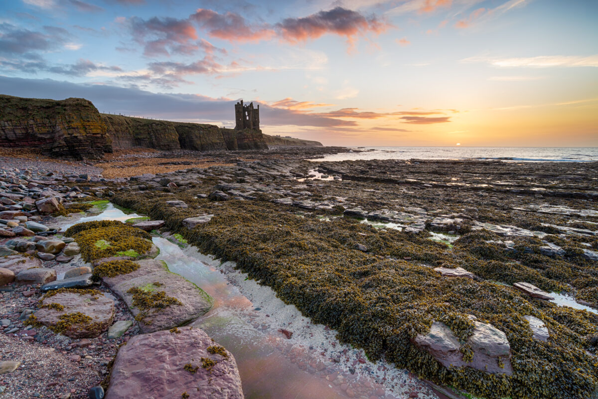 Caithness shutterstock 1126344044 | Dolphin Watching Scotland: Where to Go, When to Visit, and How to Do It Well