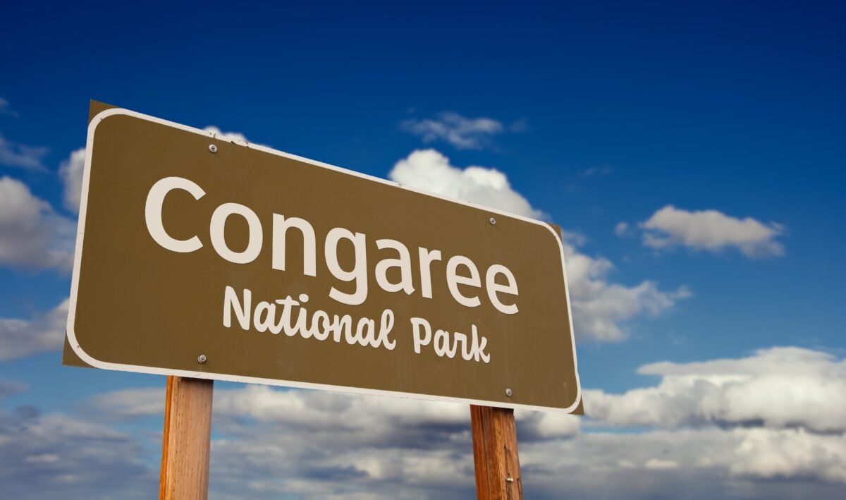 Congaree National Park South Carolina | Two Scots Abroad Congaree National Park South Carolina | America’s Most Underrated National Parks (And Why They’re Worth It in 2026)
