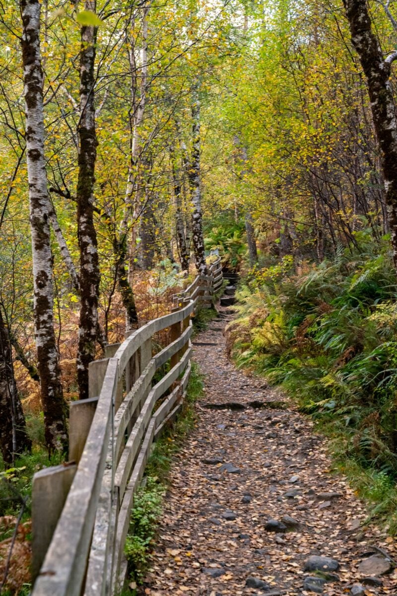 Corrieshalloch Gorge shutterstock 2542210531 | Ullapool Travel Tips for Exploring Scotland’s Wild Northwest Coast