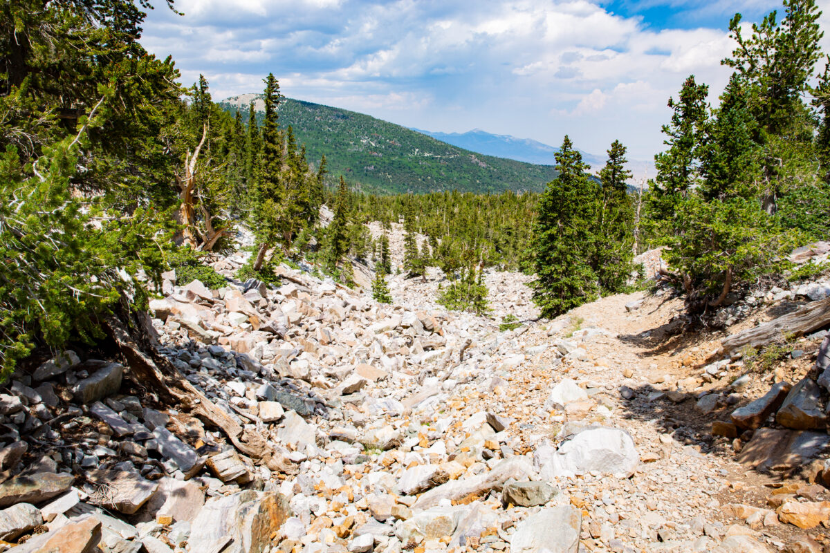 Great Basin National Park Nevada | Two Scots Abroad Great Basin National Park Nevada | America’s Most Underrated National Parks (And Why They’re Worth It in 2026)