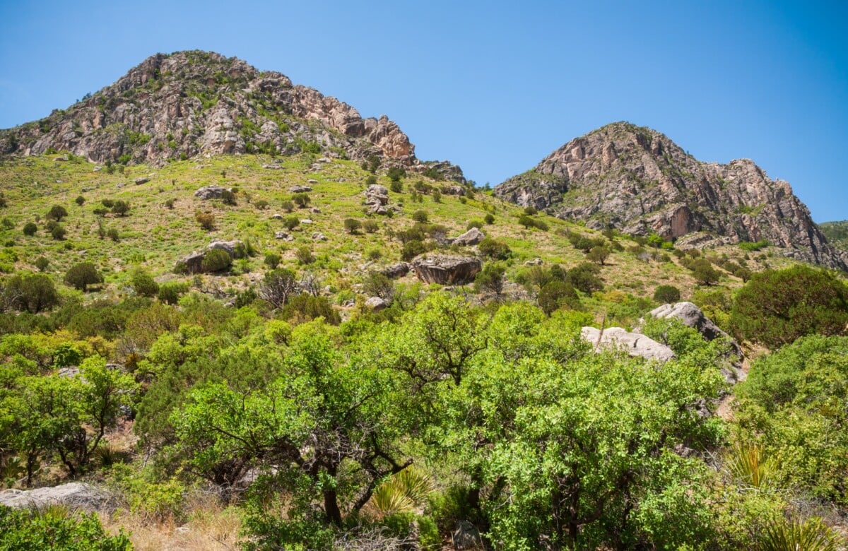 Guadalupe Mountains National Park Texas scaled | Two Scots Abroad Breathtaking landscape of cliffs and forested mountains in a national park.