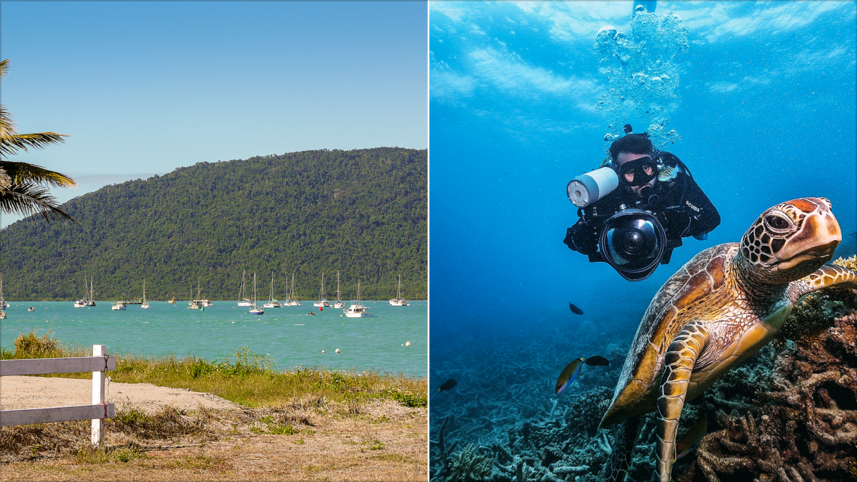 Nearest Airport to the Great Barrier Reef How to Choose the Best Arrival Point | Nearest Airport to the Great Barrier Reef: How to Choose the Best Arrival Point