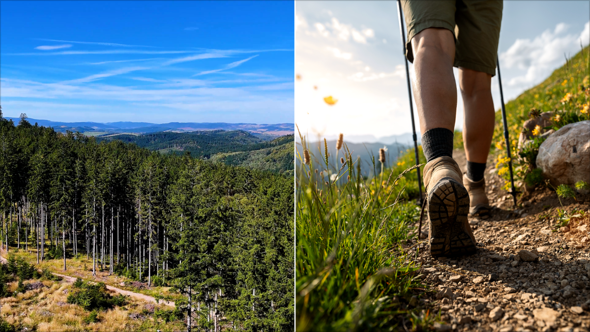 These 6 U.S. Historic Trails Let You Walk Through Americas Past | These 6 U.S. Historic Trails Let You Walk Through America’s Past