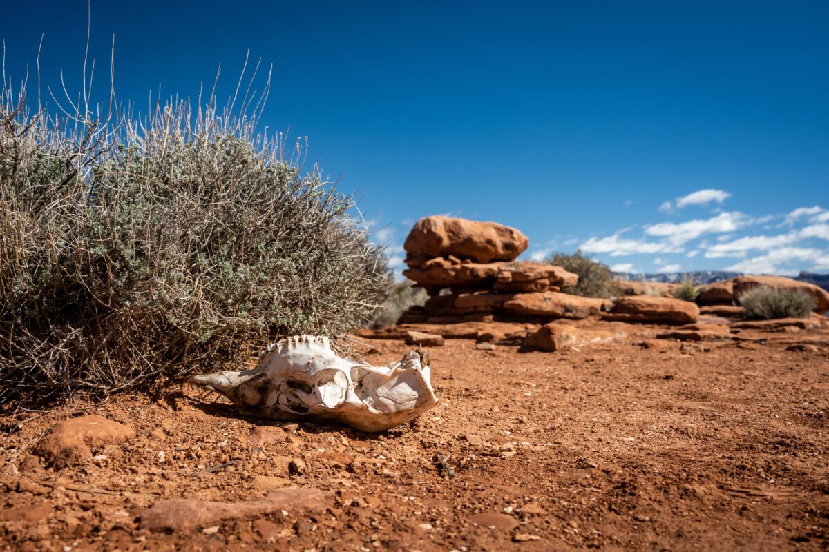 Yuma Arizona shutterstock 2395948621 | The Sunniest Places in the World for Warm Weather and Clear Skies