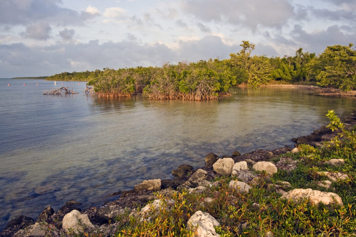 5 State and National Parks Near Miami for a Quick Day Trip shutterstock 15211024 | 5 State and National Parks Near Miami for a Quick Day Trip