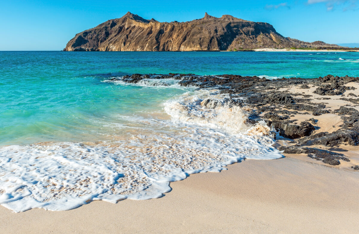 Before You Visit The Galapagos Sort These Essential Travel Details shutterstock 1990841924 | Before You Visit The Galapagos, Sort These Essential Travel Details