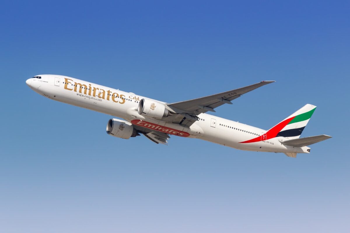 Emirates Is Flying Specialist Dogs to Zimbabwe to Help Stop Poachers shutterstock 2462662445 | Emirates Is Flying Specialist Dogs to Zimbabwe to Help Stop Poachers