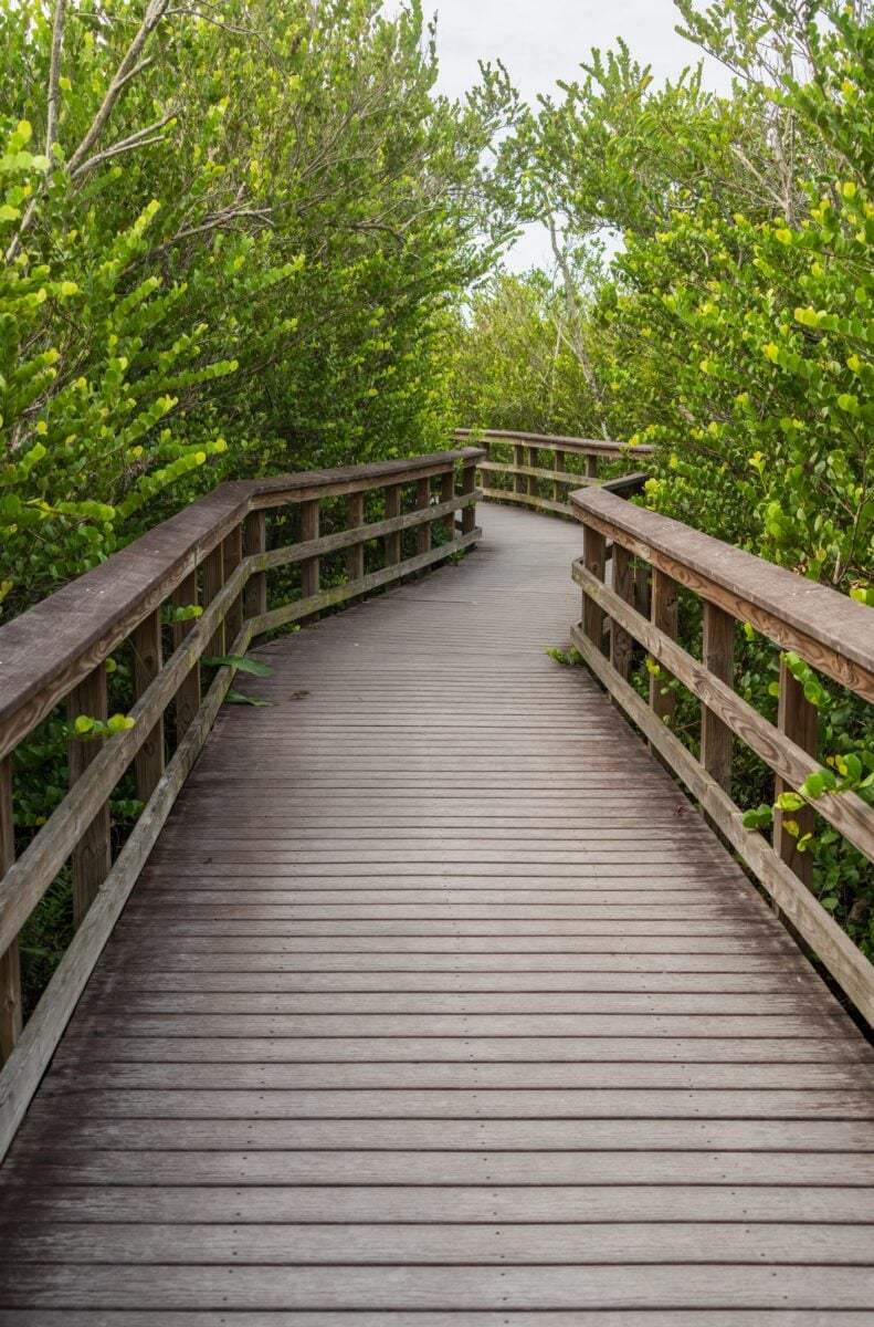 Everglades National Park shutterstock 2556184813 | 5 State and National Parks Near Miami for a Quick Day Trip
