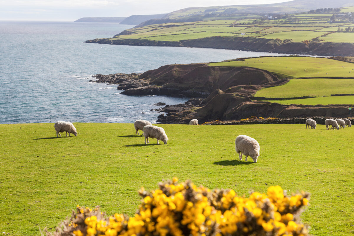 One Day in Douglas Isle of Man A Walkable Budget Friendly Plan shutterstock 1126126754 | Two Scots Abroad One Day in Douglas Isle of Man A Walkable Budget Friendly Plan shutterstock 1126126754 | One Day in Douglas, Isle of Man: A Walkable, Budget-Friendly Plan