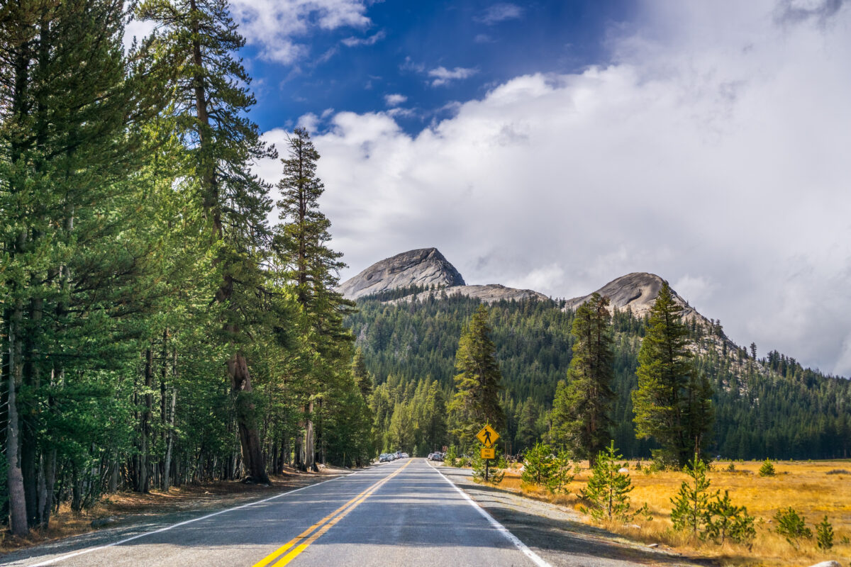 These 5 Yosemite Campgrounds Have Parkgoers Complaining About Crowds Cleanliness and Noise shutterstock 1210764460 | These 5 Yosemite Campgrounds Have Parkgoers Complaining About Crowds, Cleanliness, and Noise