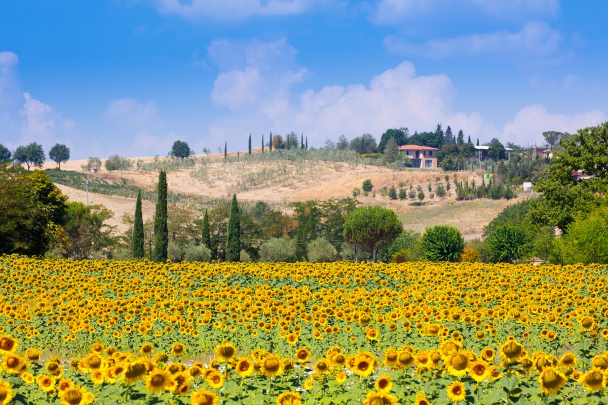 Tuscany shutterstock 2453440851 | Two Scots Abroad Tuscany shutterstock 2453440851 | 5 Europe Trips That Are Genuinely Better With a Guide