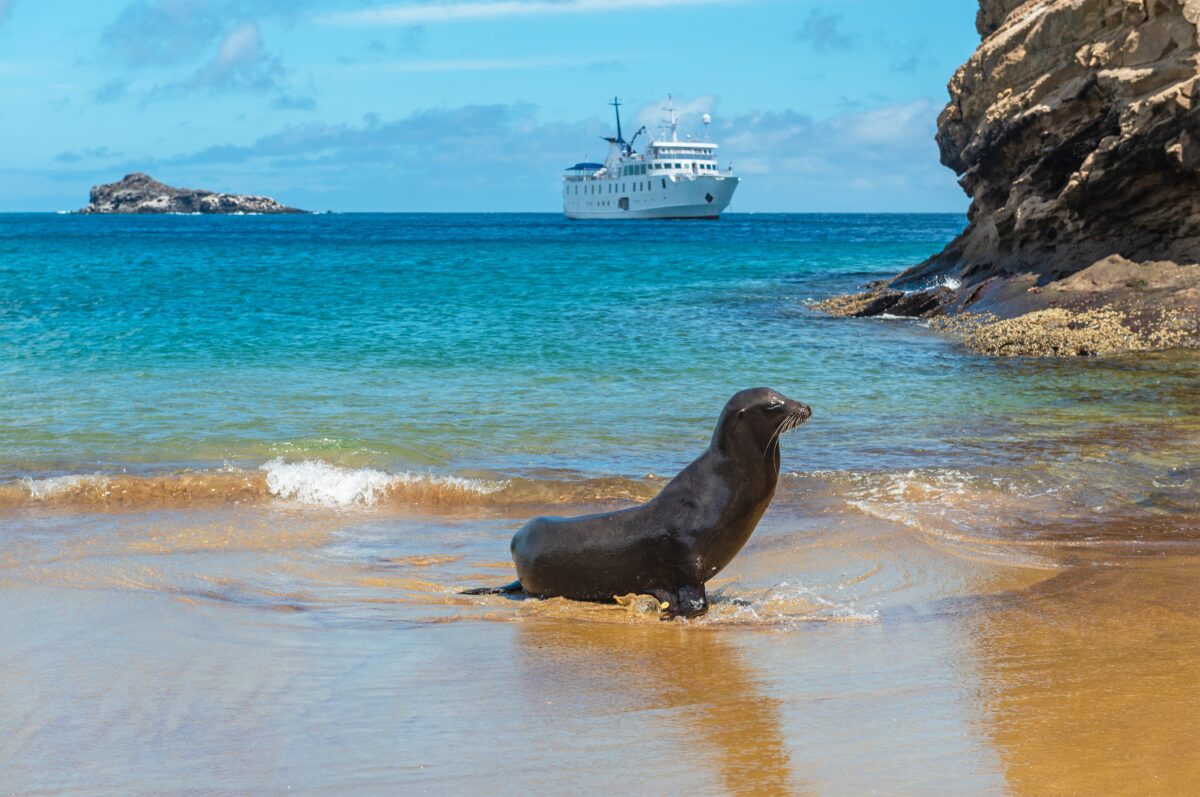 What Makes The Wildlife Worth The Journey shutterstock 2124990803 | Before You Visit The Galapagos, Sort These Essential Travel Details