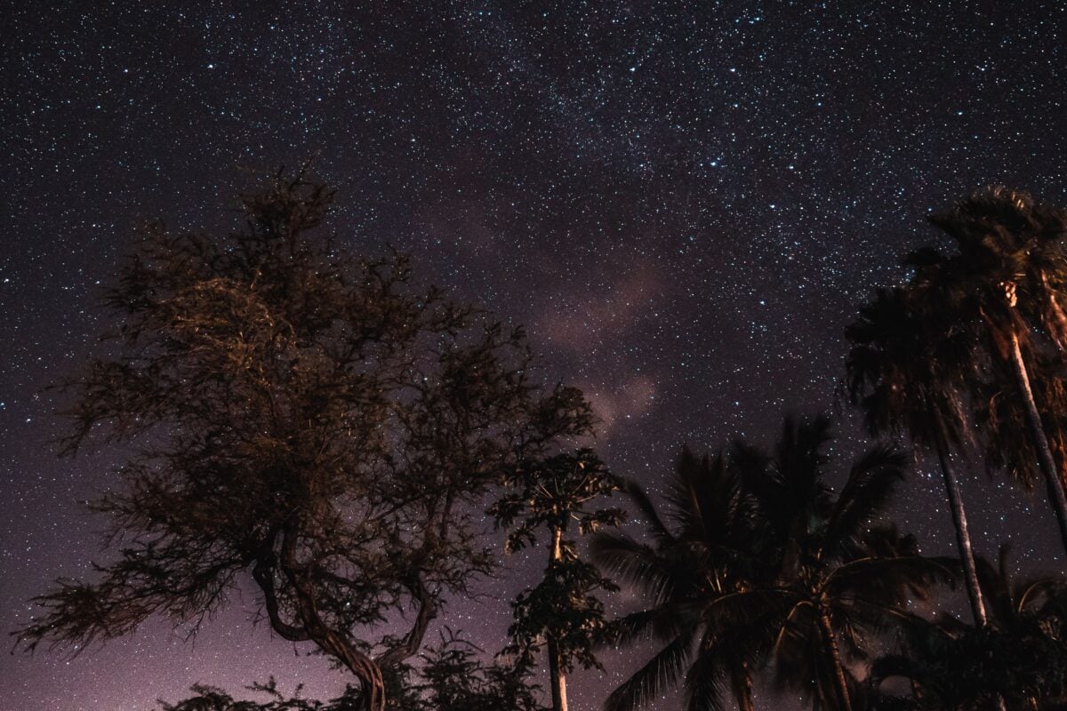 Stunning view of a starry night sky over silhouetted trees in Hawaii, capturing the beauty of the cosmos.