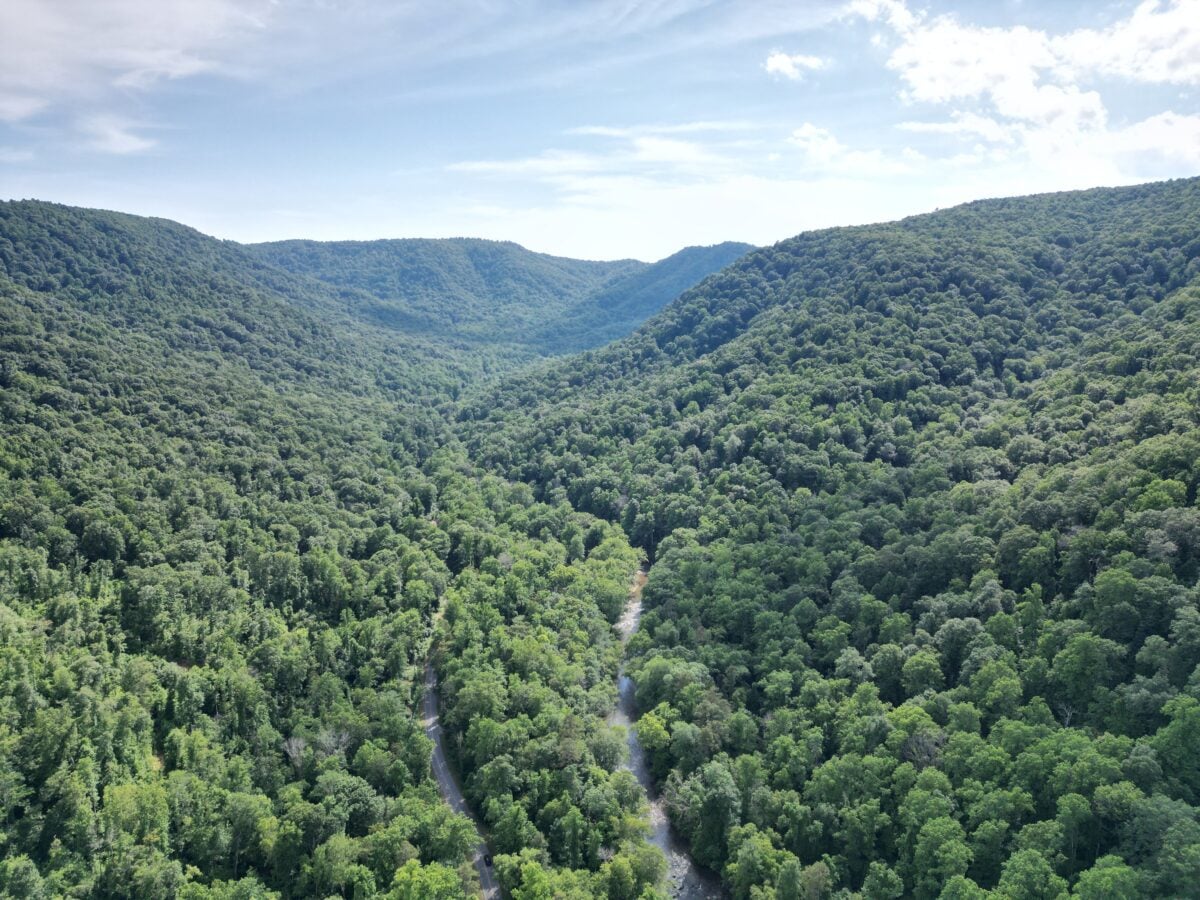 Stunning aerial view of dense green forests and winding river in Saluda, North Carolina.