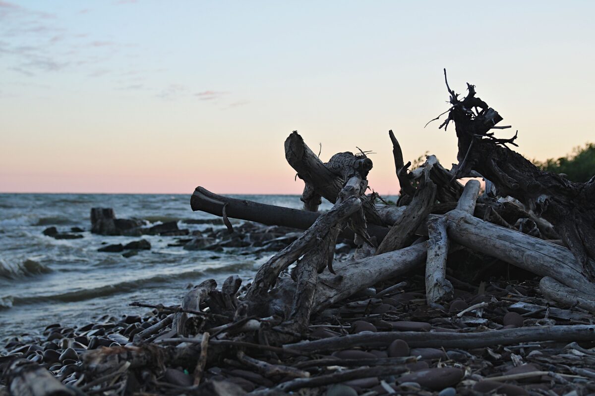 pexels 28251548 | Two Scots Abroad Driftwood and rocks along Ontario's lakeshore at sunset, creating a serene coastal landscape.