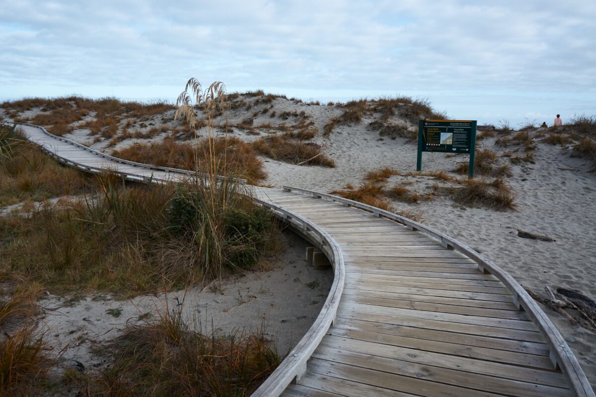 pexels 7887108 | Two Scots Abroad Curved wooden boardwalk through sand dunes with cloudy skies in New Zealand.