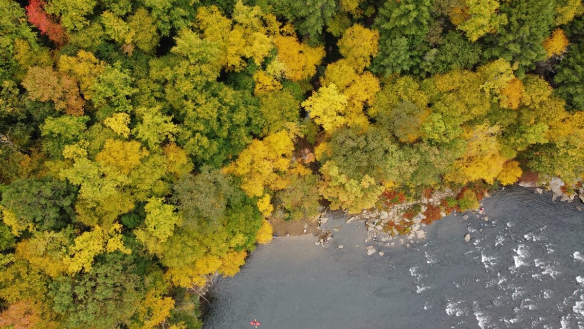 shutterstock 2097316849 | Day Trips from Pittsburgh That Will Make You Fall in Love with Nature