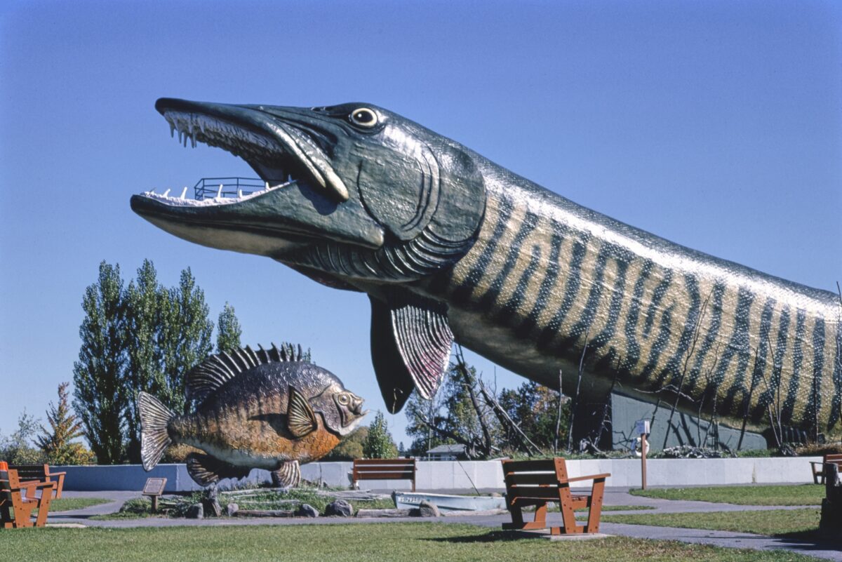 shutterstock 2737438857 | Two Scots Abroad fish head Wisconsin