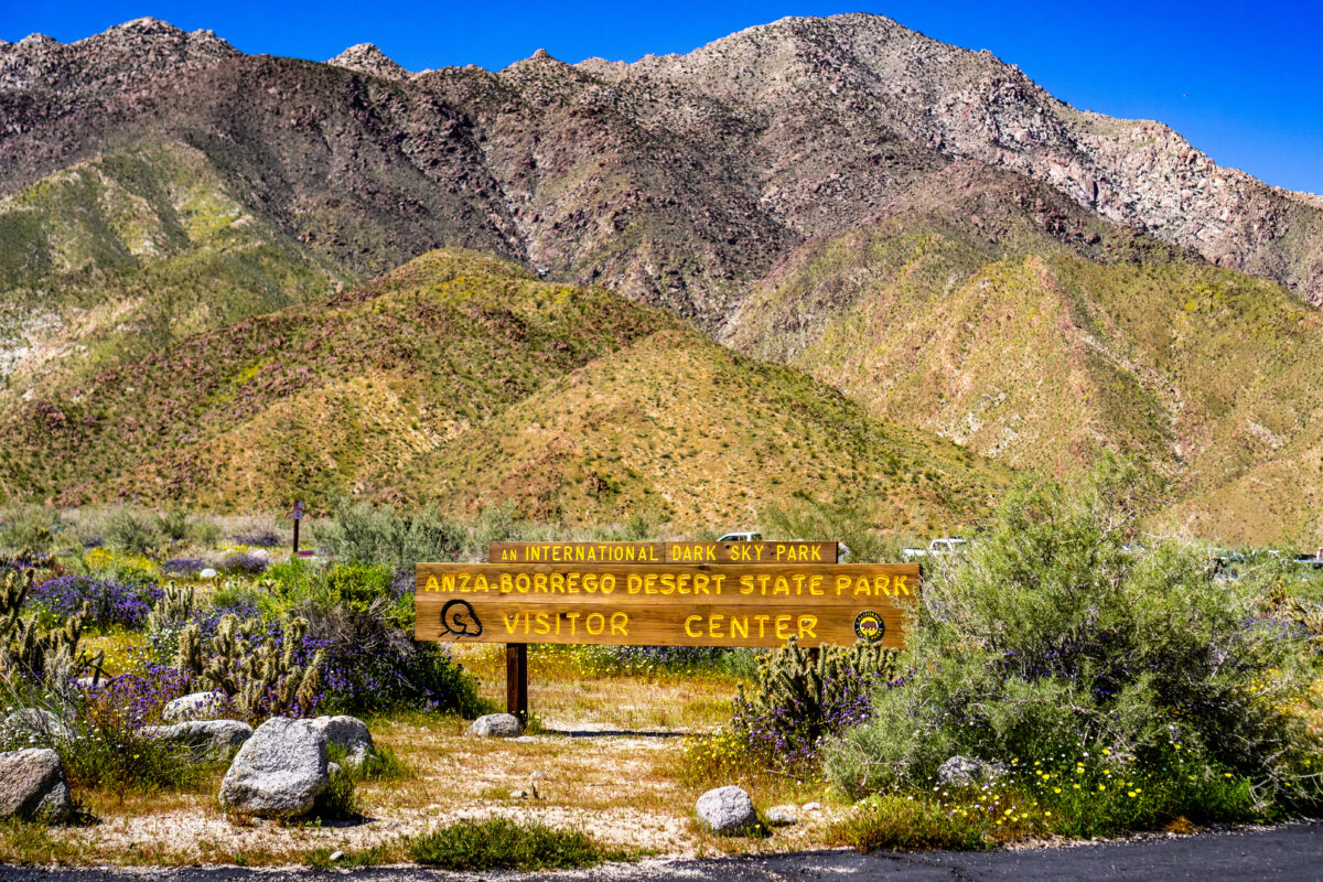 Anza Borrego Desert State Park California shutterstock 1352470466 | These U.S. Flower Bloom Spots Make Regular Spring Trips Look Lazy