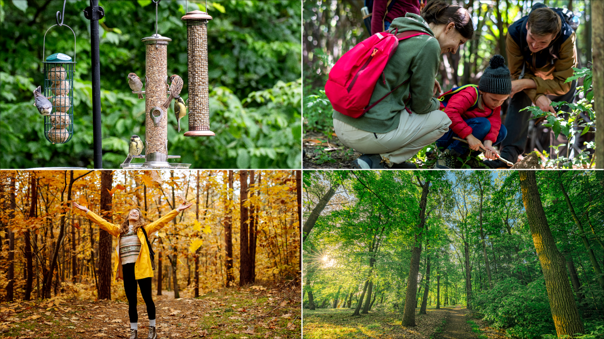 Boston Nature Center Family Guide Trails Gardens and Nature Play | Boston Nature Center Family Guide: Trails, Gardens and Nature Play