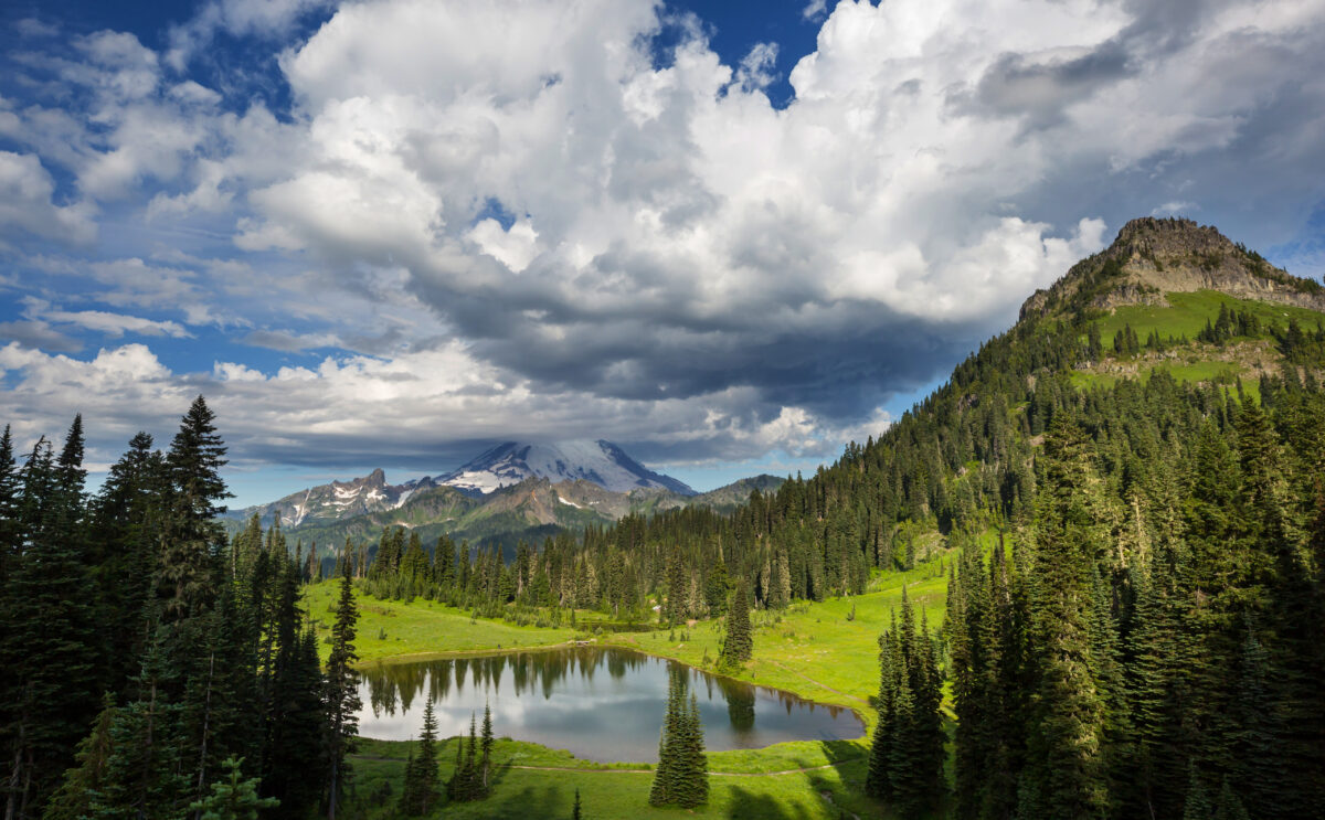 Mount Rainier National Park Washington shutterstock 1472354279 | These U.S. Flower Bloom Spots Make Regular Spring Trips Look Lazy