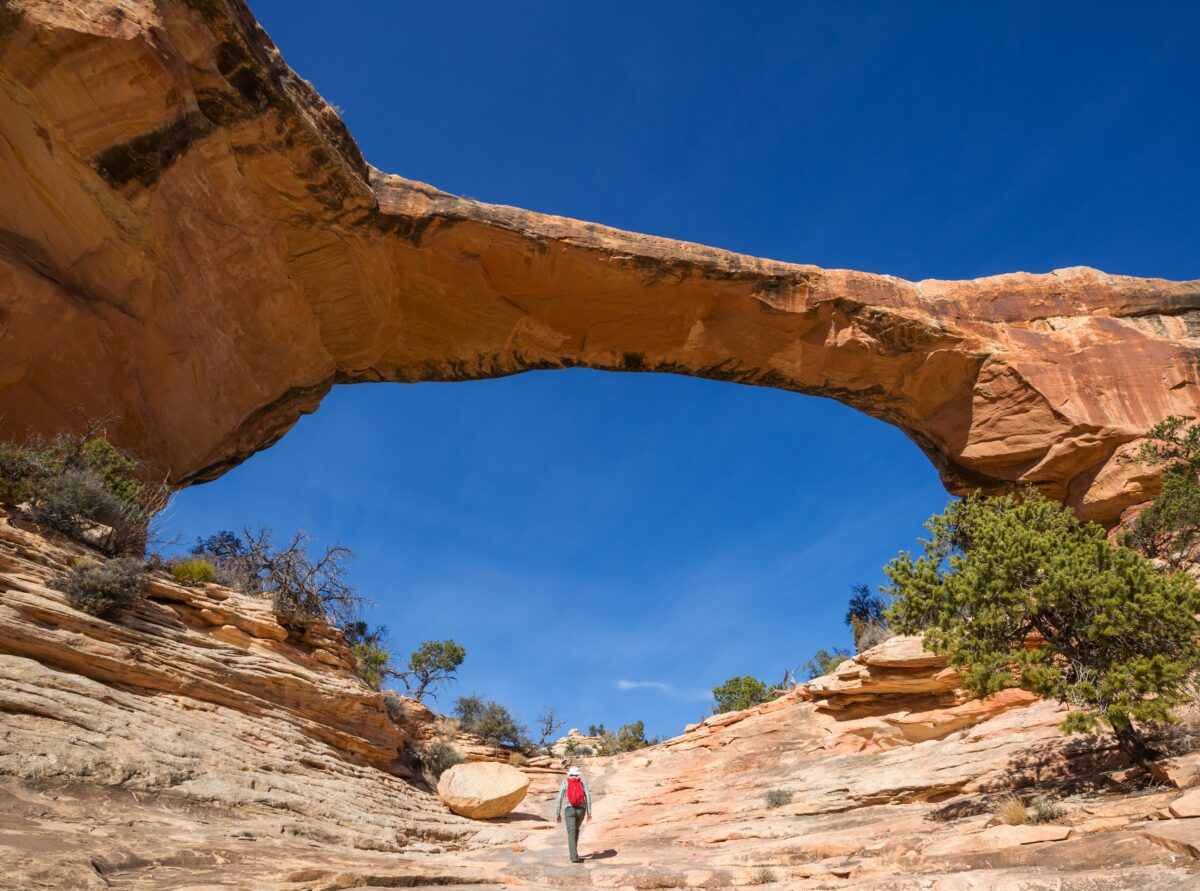 Natural Bridges National Monument shutterstock 2383308981 | 12 Best Stargazing Spots in the U.S. for Dark Skies