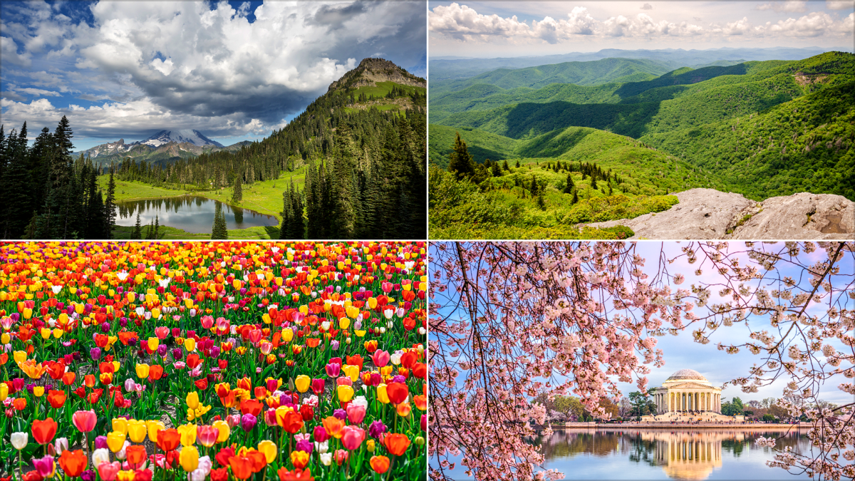 These U.S. Flower Bloom Spots Make Regular Spring Trips Look Lazy | These U.S. Flower Bloom Spots Make Regular Spring Trips Look Lazy