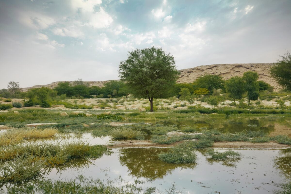 Wadi Hanifa shutterstock 2277097161 | Saudi Arabia Beyond Umrah: Tombs, Cliffs and a Fountain With Serious Height